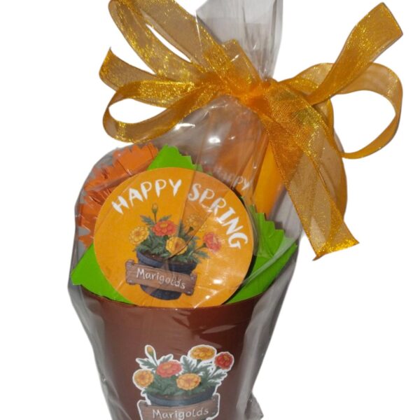 Pot Plant treat